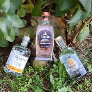 🧡 Meruňkový stupeň vítězů! Pojďmě mrknout na nejlepší české meruňkovice! Výsledky Pálenky Roku už pár dní máme, seznamte...