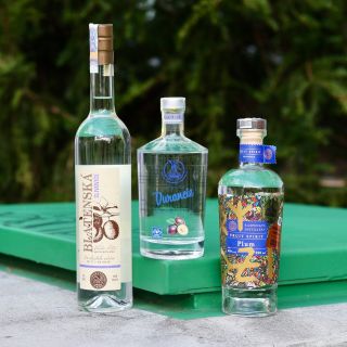 💙 👑 Královny mezi královnami! Jedna z těch nejprestižnějších kategorií Pálenky Roku je rozhodně kategorie slivovic, kde se...